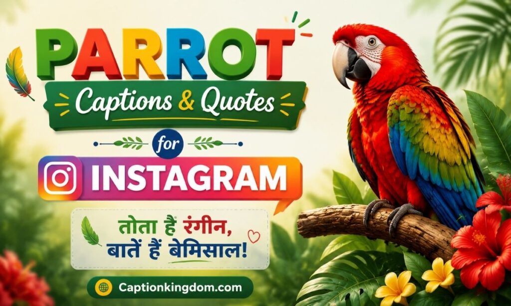 Parrot Captions & Quotes for Instagram